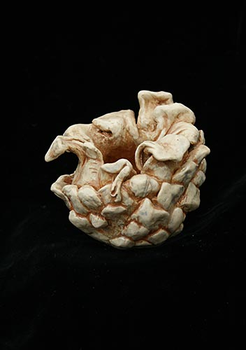 Fir Cone Inspiration