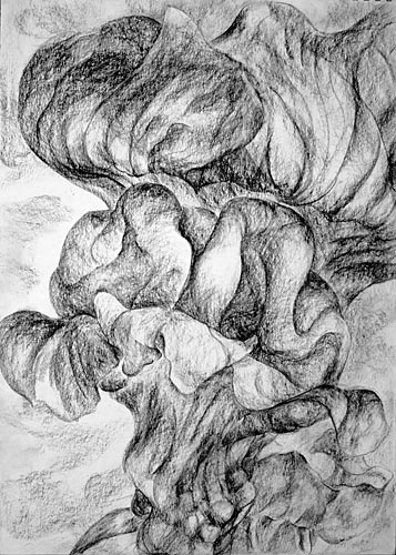 Snapdragon