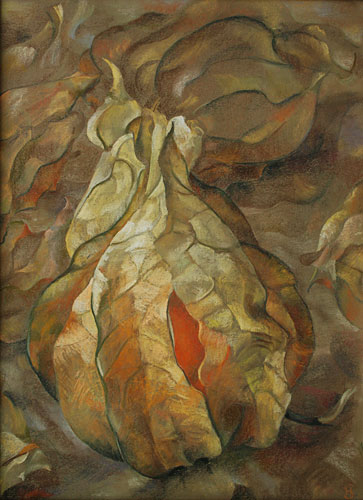 Cape Secret flower pastel