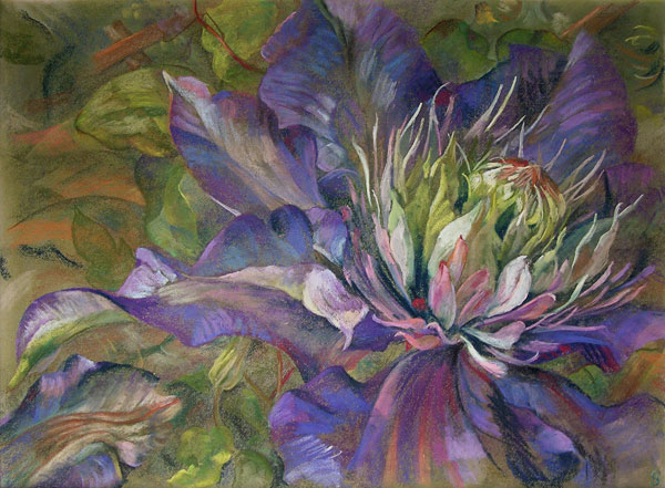 Clematis flower pastel