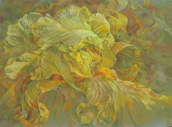 Floating Dawn flower pastel