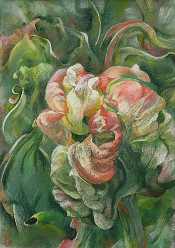 Unfurling flower pastel